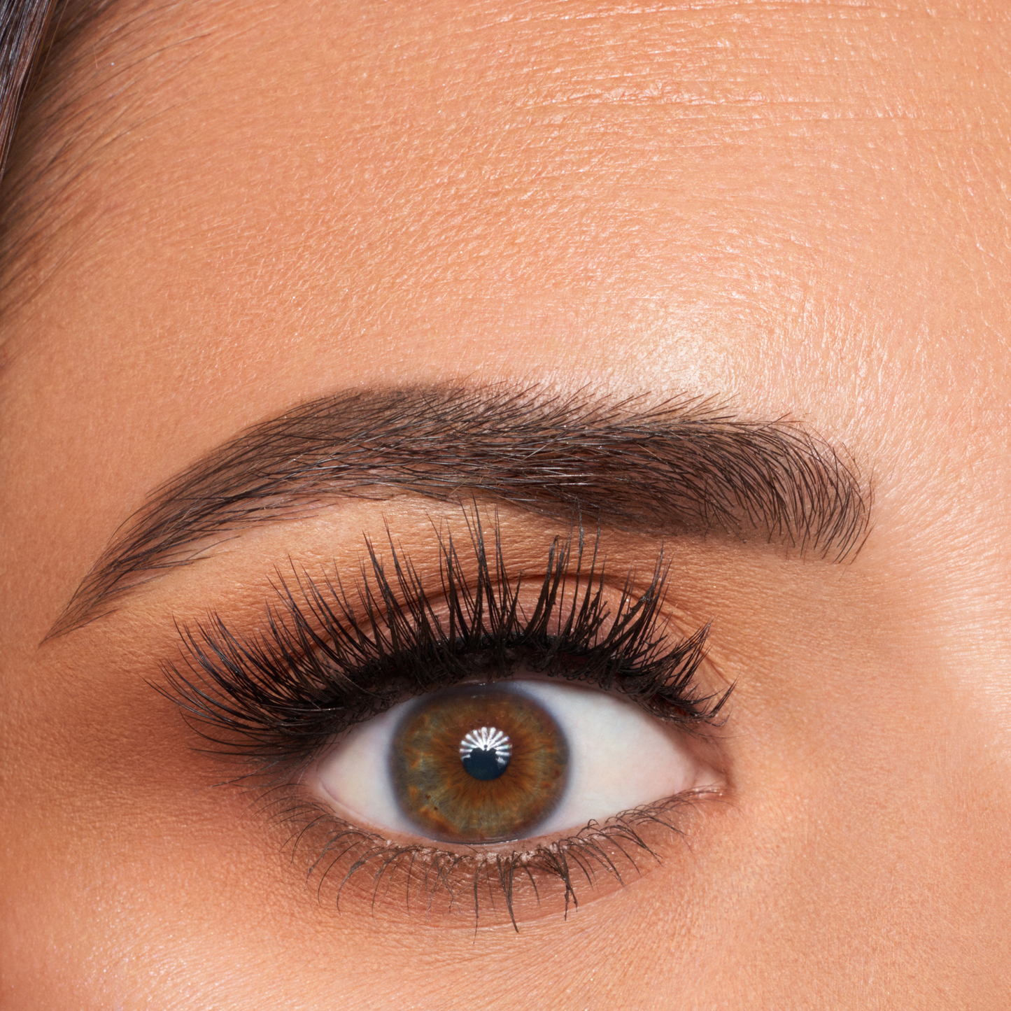 Enzo - 3D Mink False lash