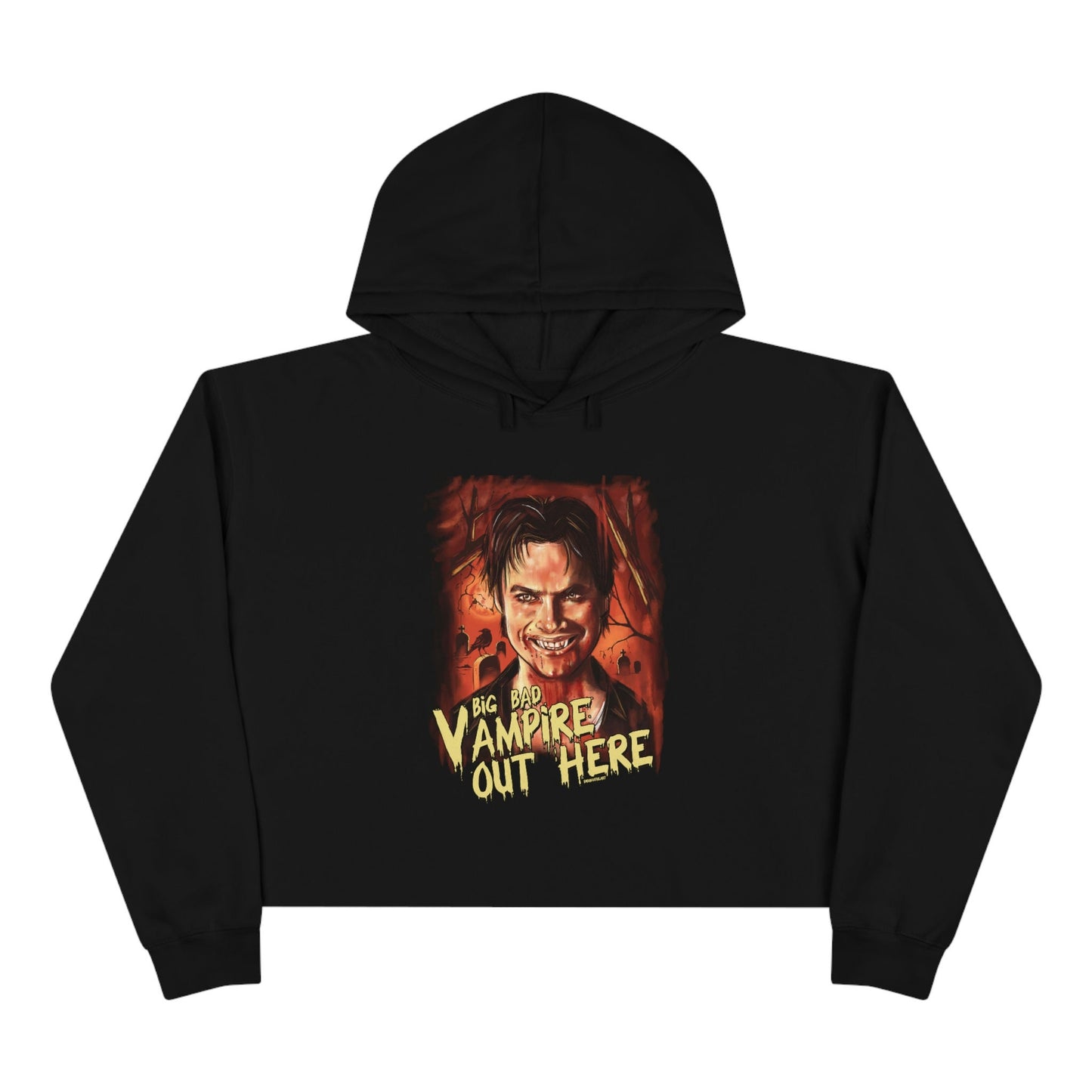 Damon Salvatore Hoodie, Cropped Hoodie, Tvd hoodie, Tvd apparel, Tvd merch, The Salvatore brothers, Team damon, Big bad Vampire