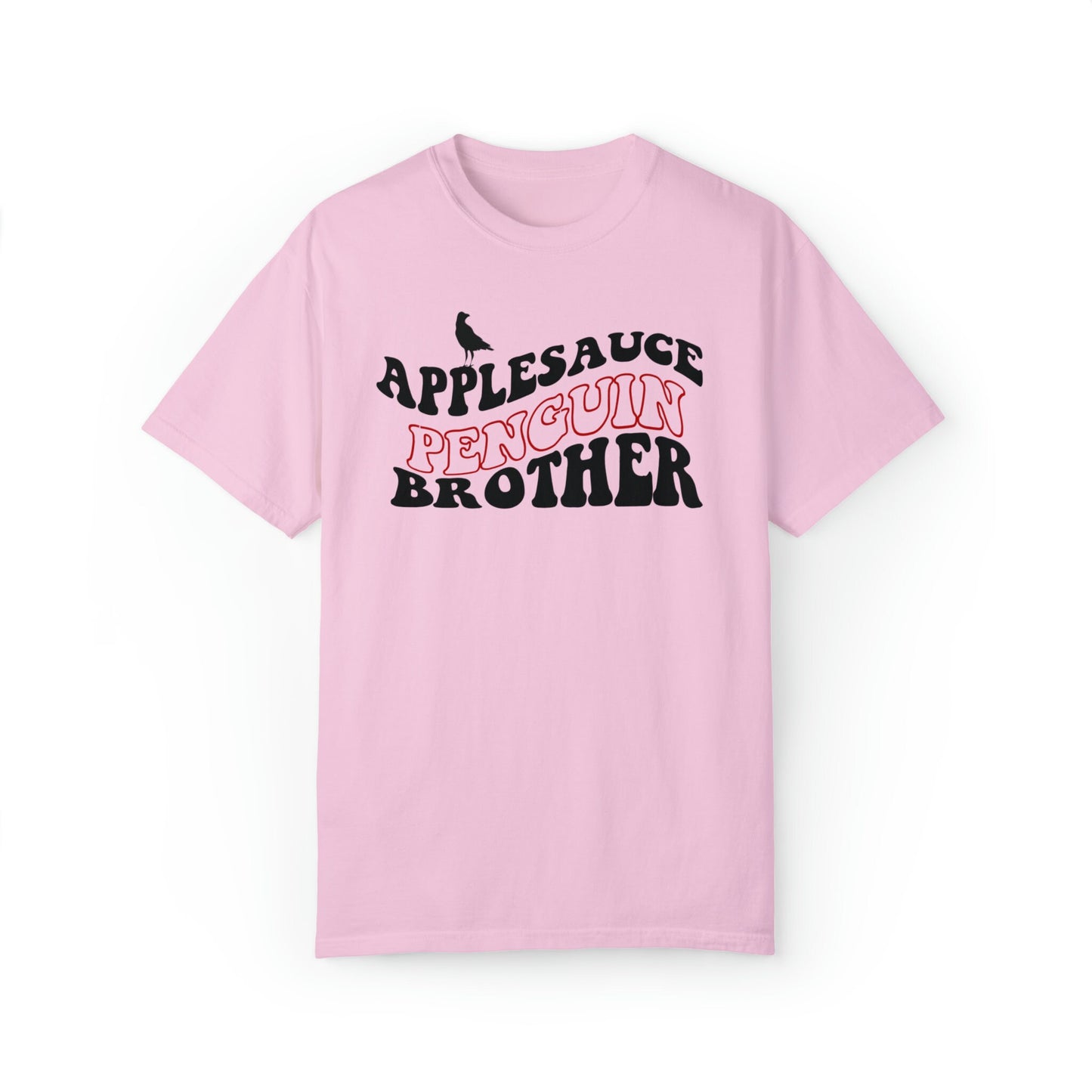 TVD shirt, Tvd gift, Damon Salvatore shirt, Tvd merch, Team Damon, Stefan Salvatore, Tvd xmas gift, Comfort Colors