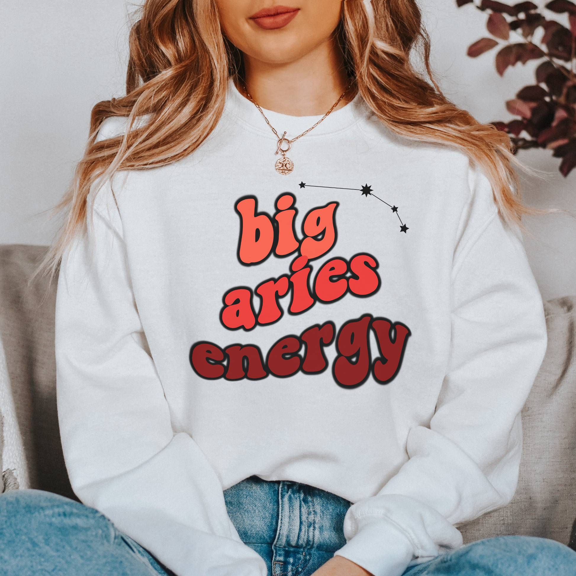 Aries sweatshirt sales