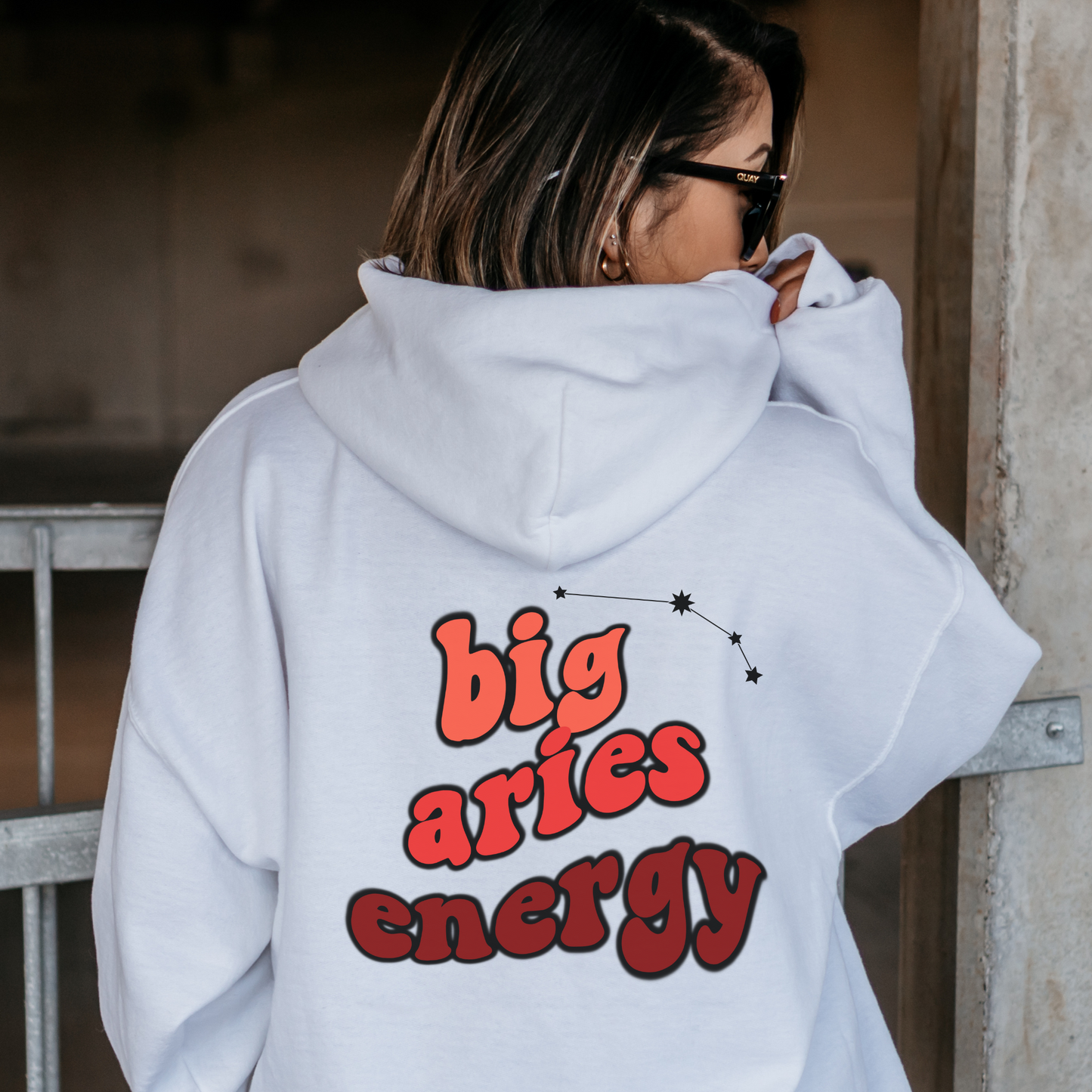 Big Aries energy Hoodie, Aries Sweatshirt, Astrology lover gift, Zodiac sweatshirt, Xmas gift for Aries Astrology