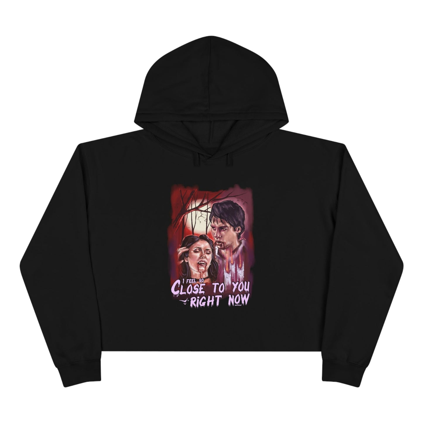 TVD hoodie, Cropped Hoodie, Team Delena hoodie, Damon Salvatore hoodie, Damon & Elena, Mystic falls, Salvatore brothers, TVD merch