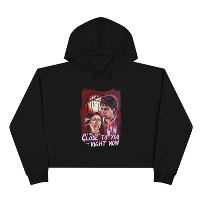 TVD hoodie, Cropped Hoodie, Team Delena hoodie, Damon Salvatore hoodie, Damon & Elena, Mystic falls, Salvatore brothers, TVD merch