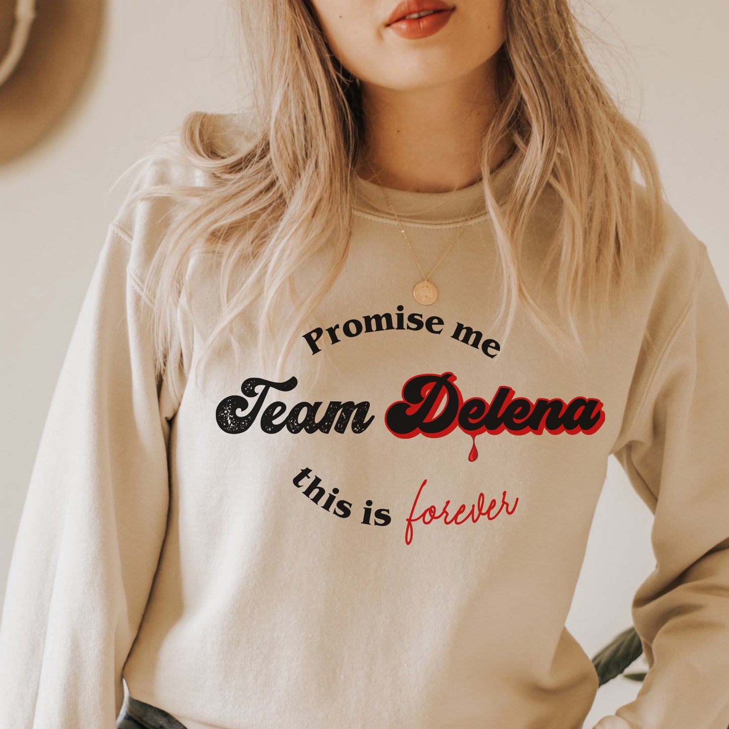 Team Delena Sweatshirt, TVD sweatshirt, Tvd merch, TVD apparel, Damon Salvatore, The Vampire diaries, TVD fan gift